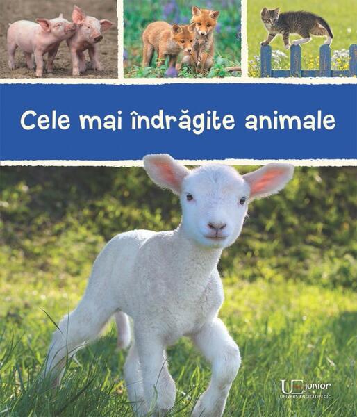 Cele mai îndrăgite animale - Univers Enciclopedic