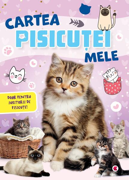 Cartea pisicuței mele - Paperback brosat - Kreativ