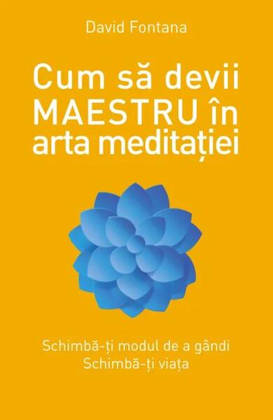 Cum să devii maestru în arta meditației - David Fontana - Litera