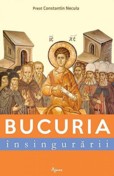 Bucuria însingurării - Constantin Valer Necula - Agnos
