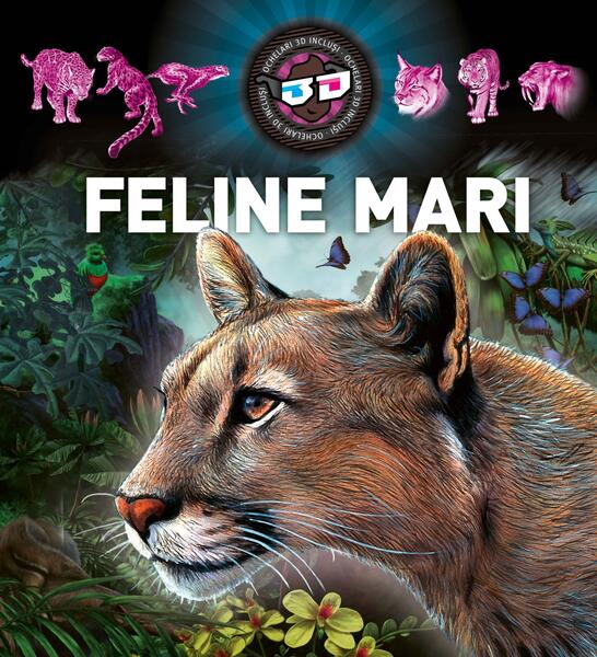 Feline mari 3D - Kreativ