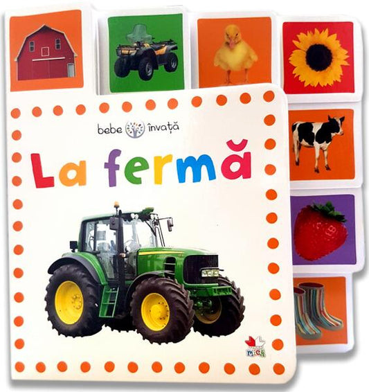 Bebe învață. La fermă - Litera mică