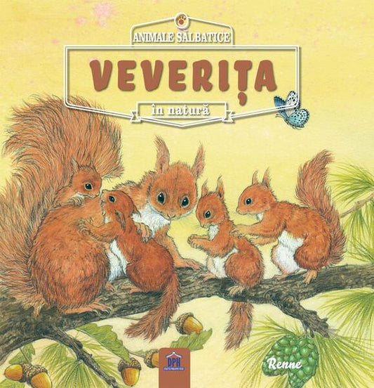 Veverița. Animale sălbatice în natură - Paperback brosat - Renée Rahir - Didactica Publishing House