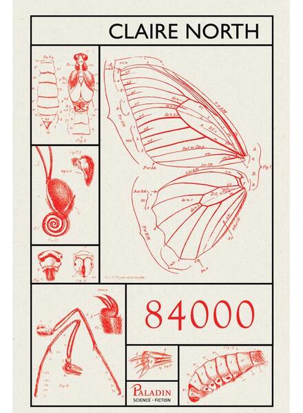 84000 - Paladin