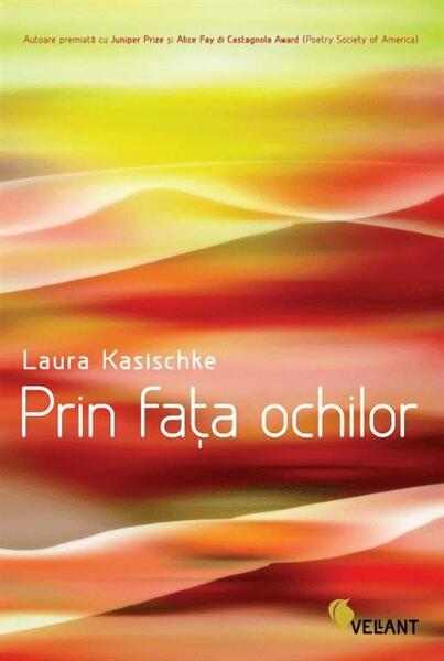 Prin fata ochilor - Laura Kasischke - Vellant