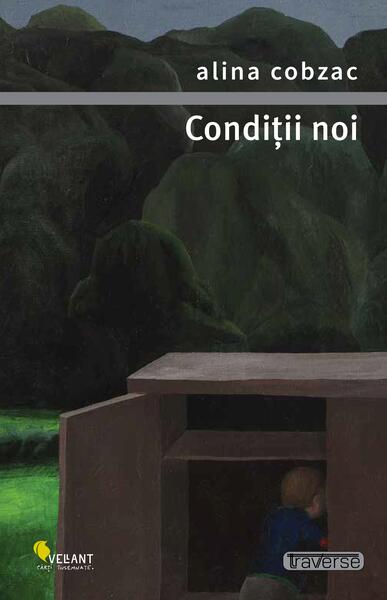 Condiții noi - Vellant
