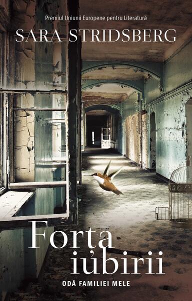 Forța iubirii - Sara Stridsberg - RAO