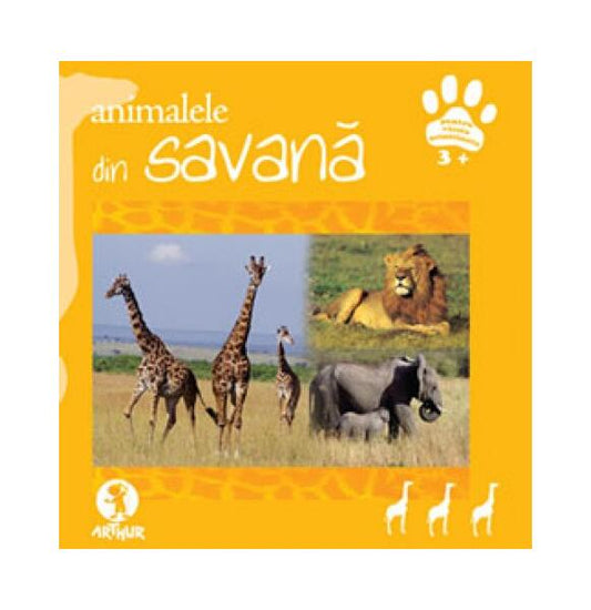 Animalele din savană - Donatella Bergamino