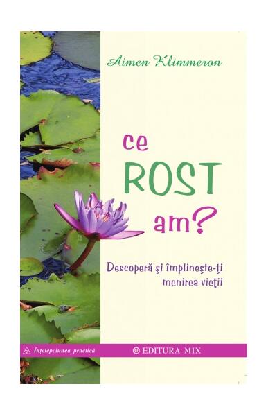 Ce rost am? - Aimen Klimmeron - Mix