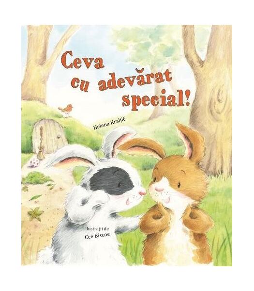 Ceva cu adevărat special - Helena Kraljic - Didactica Publishing House