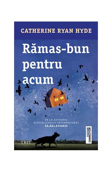 Rămas-bun pentru acum - Catherine Ryan Hyde - Trei