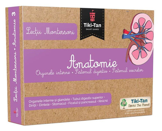 Lecţii de anatomie: Organe interne. Sistemul digestiv. Lecții Montessori - Board book - Gama