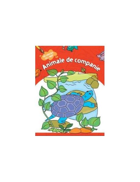 Animale de companie - Kreativ