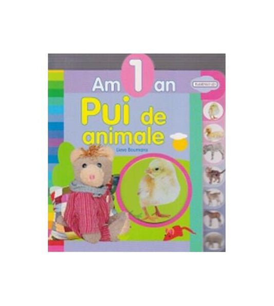 Pui de animale. Am 1 an - Lieve Boumans - Flamingo