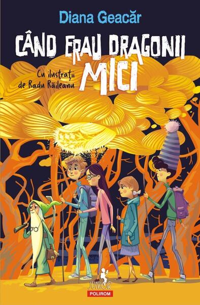 Când erau dragonii mici - Diana Geacăr - Polirom