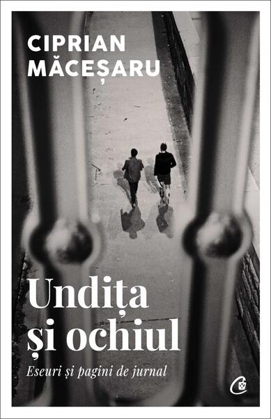 Undița și ochiul - Curtea Veche