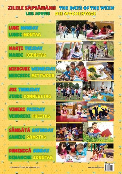 Planșă - Zilele săptămânii - Ars Libri