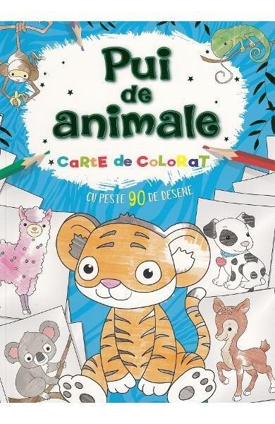 Pui de animale. Carte de colorat - Flamingo
