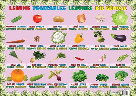 Planșă - Legume - Ars Libri