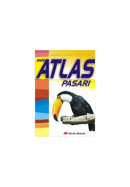 Mic atlas de păsări - Aurora Mihail - All