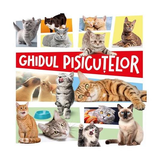 Ghidul pisicuțelor - Kreativ