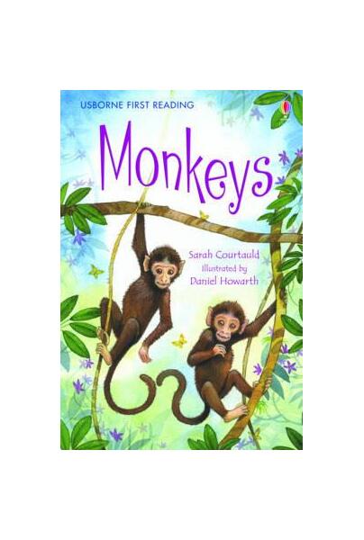 Monkeys - Paperback brosat - Sarah Courtauld - Usborne Publishing