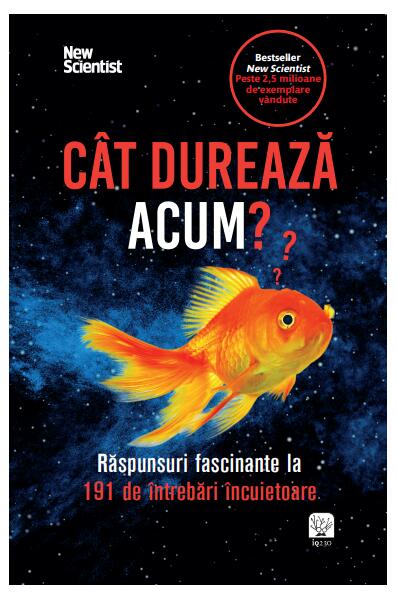 Cât durează acum? - Corina Hădăreanu - Litera