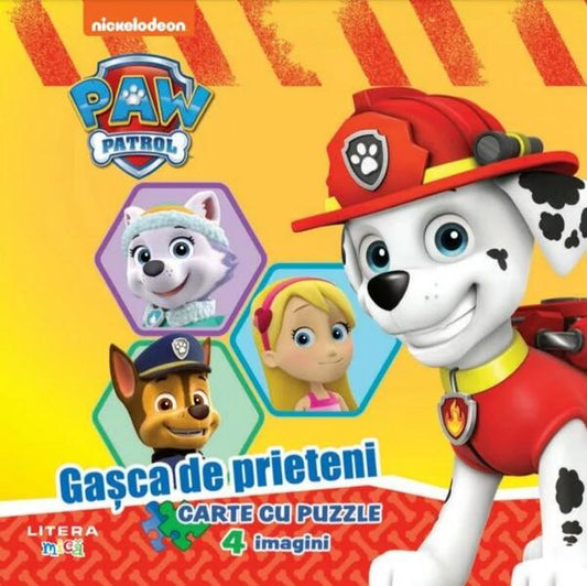 Gașca de prieteni - Roxana Aneculăesei - Litera