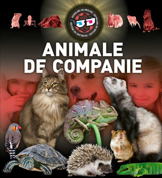 Animale de companie 3D - Kreativ