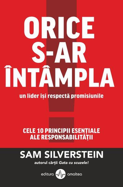 Orice s-ar întâmpla, un lider își respectă promisiunile. Cele 10 principii esențiale ale responsabilității - Sam Silverstain - Amaltea
