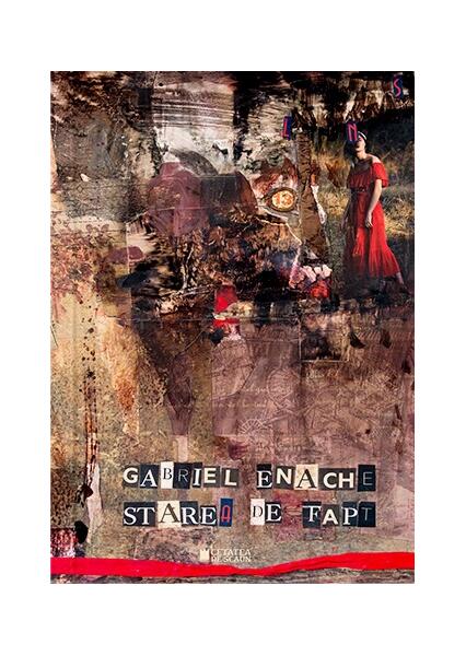 starea de fapt - Gabriel Enache - Cetatea de Scaun