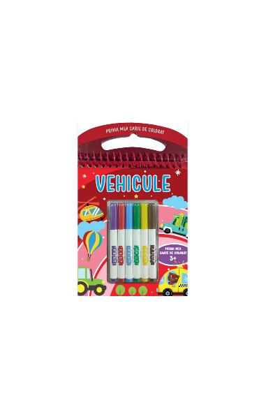 Vehicule - Paperback brosat - Prut