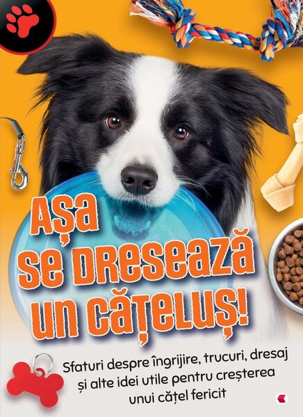 Așa se dresează un cățeluș! - Kreativ
