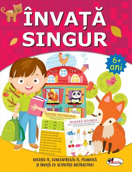 Învață singur. Carte de activitățI +6 - Dreamland Publications - Aramis
