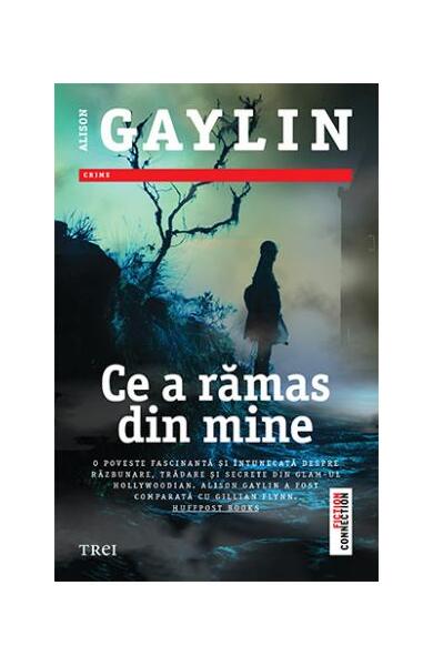 Ce a rămas din mine - Alison Gaylin - Trei