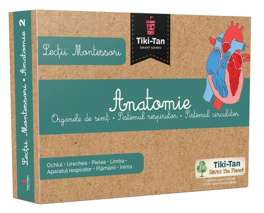 Lecţii de anatomie: Organe de simţ. Sistemul respirator. Sistemul circulator. Lecții Montessori - Board book - Gama