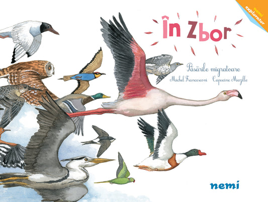 În zbor - Păsările migratoare - Capucine Mazille Michel Francesconi - Capucine Mazille Michel Francesconi