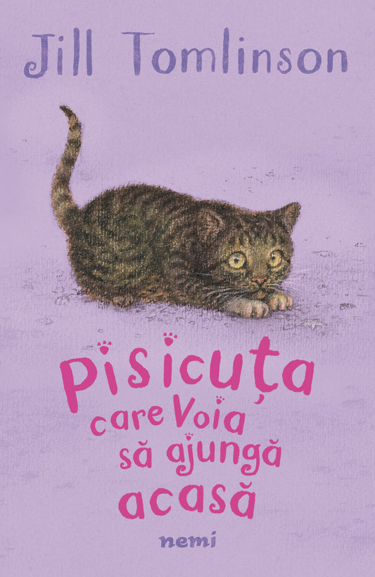 Pisicuța care voia să ajungă acasă