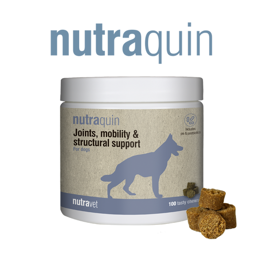 Nutravet Nutraquin, Caini, 50 chews