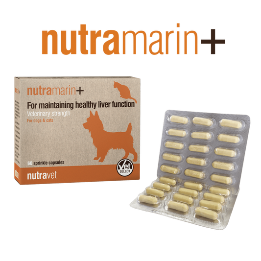 Nutravet Nutramarin+, 60 capsule