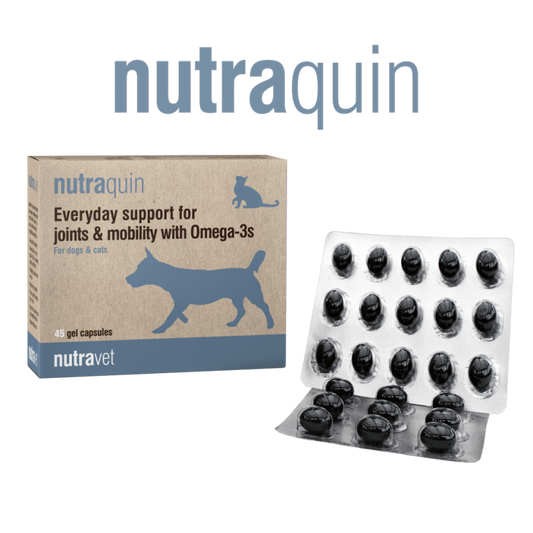 Nutravet Nutraquin, Caini & Pisici, 45 capsule moi