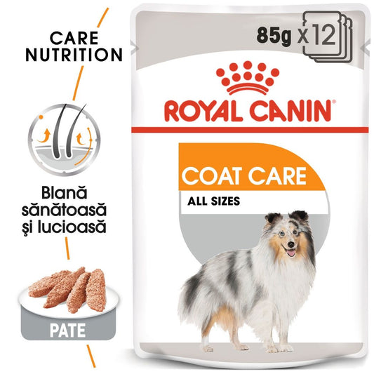 Royal Canin Coat Care Adult hrana umeda caine, blana sanatoasa si lucioasa (pate), 12 x 85 g