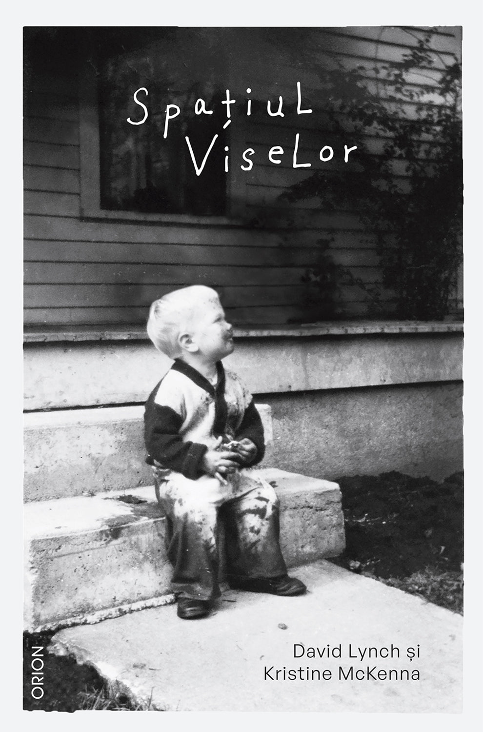 Spațiul viselor - David Lynch Kristine McKenna - David Lynch Kristine McKenna