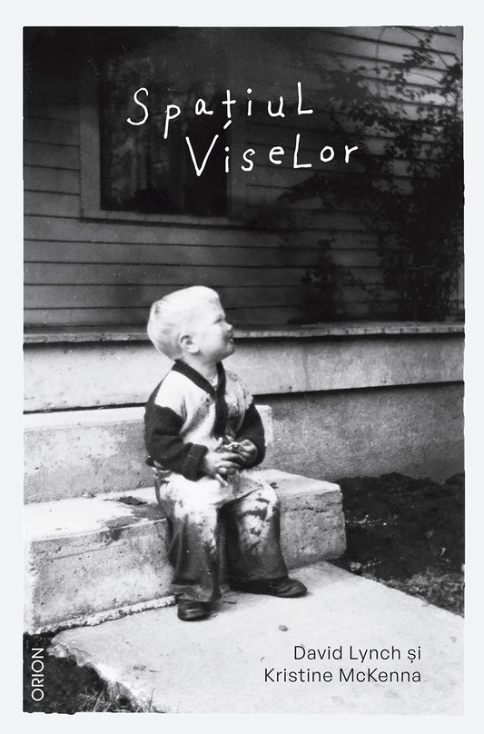 Spațiul viselor - David Lynch Kristine McKenna - David Lynch Kristine McKenna