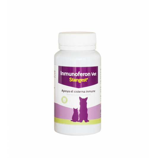 Supliment imunomodulator Inmunoferon Vet, Stangest, 30 tablete